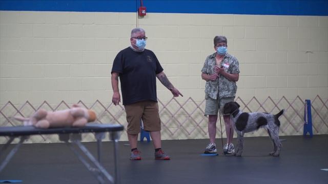 Eric Salas Dog Training workshop Day 1 (Establishing Respect) смотреть онлайн