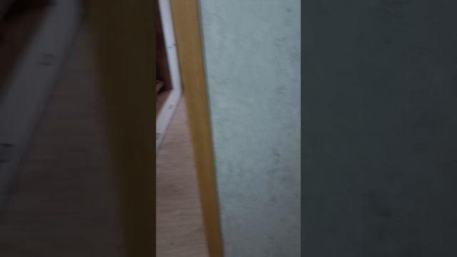 квартира