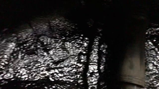 Установлена шумная резина. Что можно сделать, если не менять на новую. Рассмотрим на примере Optima.