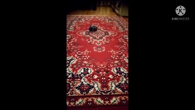 джип уварачивается от бомб (андрюшка с днём рождения) смотреть онлайн