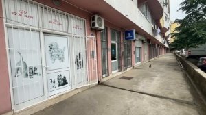 Домашние питомцы и ветеринарная клиника в Черногории