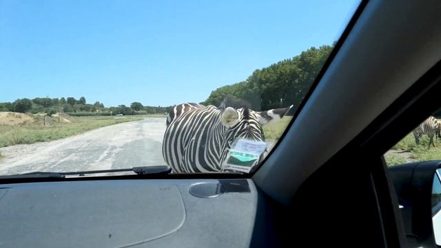 abcd, a for apple, phonics song, a for apple b for ball, Toddlers, alphabet #kidslearning смотреть онлайн