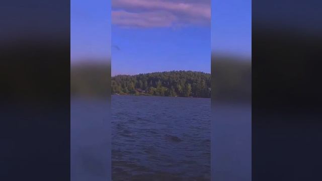 Вандер Фил - Поправила смотреть онлайн