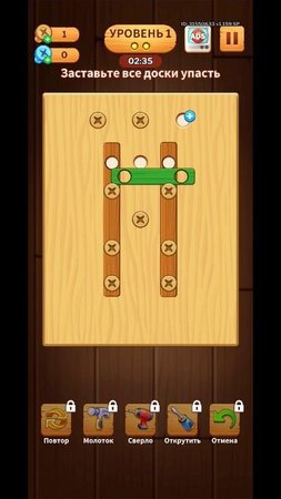 Screw Puzzle