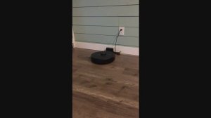 Review roborock Q5 Pro Robot Vacuum and Mop Combo, 5500Pa Suction, DuoRoller Brush