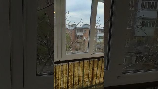 Квартира