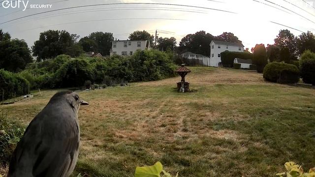 eufy SoloCam S40 RAW footage