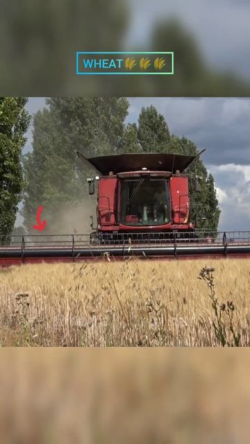 CASE-IS 7240 Axial-Flow🌾🌾🚜❗❗❗#shorts #machine #agriculture