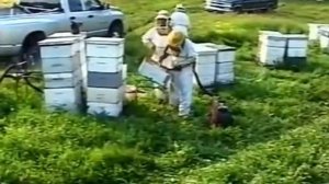 Пчеловодство в Канаде