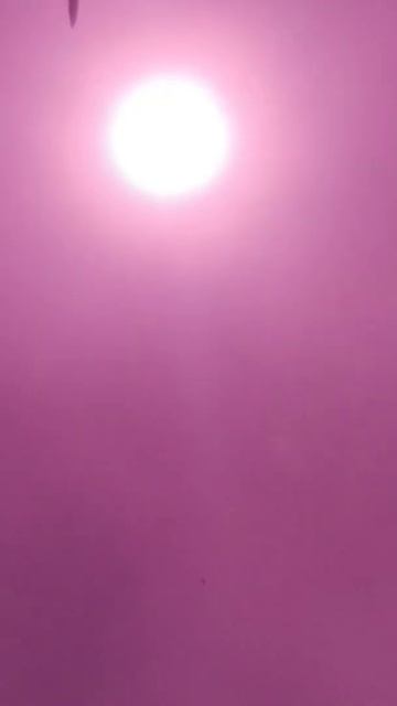 солнечное затмение в очках в 13:49 в Черкассах