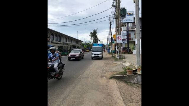 visit Srilanka  elephants