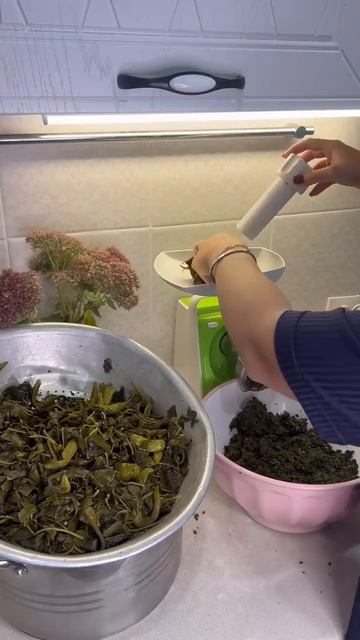 У нас в Осетии никогда не выбрасывают ЛИСТЬЯ ПЕРЦА! Ведь из них мы готовим вкуснейший соус Цахтон😍