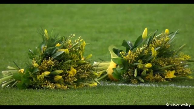 PRAWDA O ZAGINIĘCIU PIŁKARZA EMILIANO SALA | KOCISZEWSKY