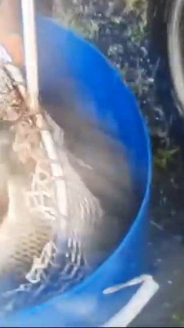 рыбалка для рыбака вас тут ☝️ ждут много Карпов 🐟 смотреть онлайн