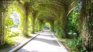 Сад имени Баумана. Москва.