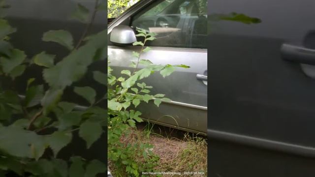 July 6, 2023 изучаю свеженайденного на авторазборке донора для нашей новой машины - Nissan Primasta смотреть онлайн