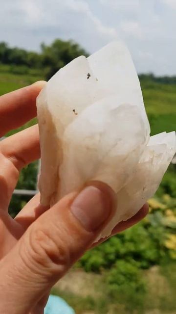 #shorts Mẫu tinh thể thạch anh trắng nguyên bản tự nhiên nặng 400g $ giá 180k $ Đá phong thủy смотреть онлайн