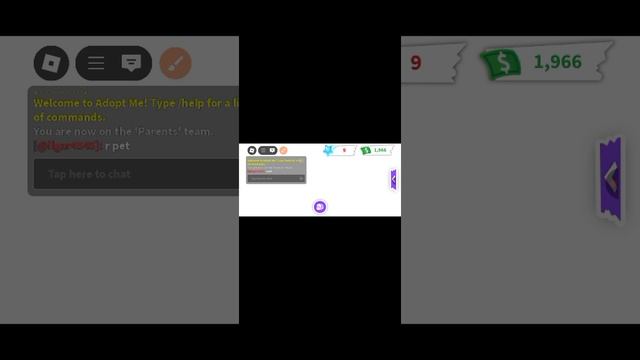 1000017233.mp4