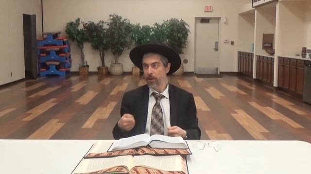 Урок 238 Йешаяу гл 21, ч 2 смотреть онлайн