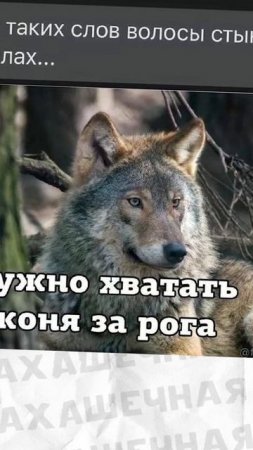 Мемы и мемы #приколы #мемы #мем #лютыеприколы