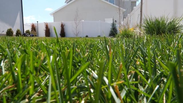 The Next Generation of Robot Lawn Mowers Are Here смотреть онлайн