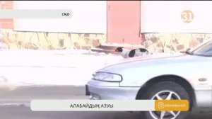 Петропавлда бір метрлік алабай қожайынын талап тастады