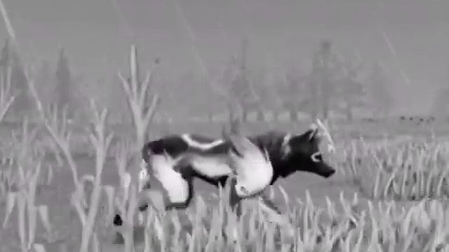 Включи это 31 августа в 23:59 😭😭😭 смотреть онлайн