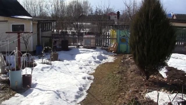 VLOG В лес на разведку Булочки с яблоками Как дела в теплице смотреть онлайн