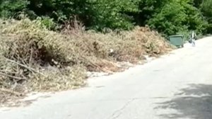 На ул. Дружбы куча мусора растет не по дням, а по часам