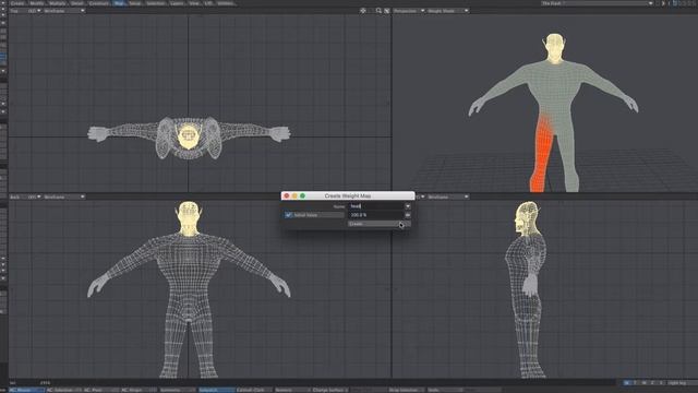 Creating and Assigning Weight Maps смотреть онлайн