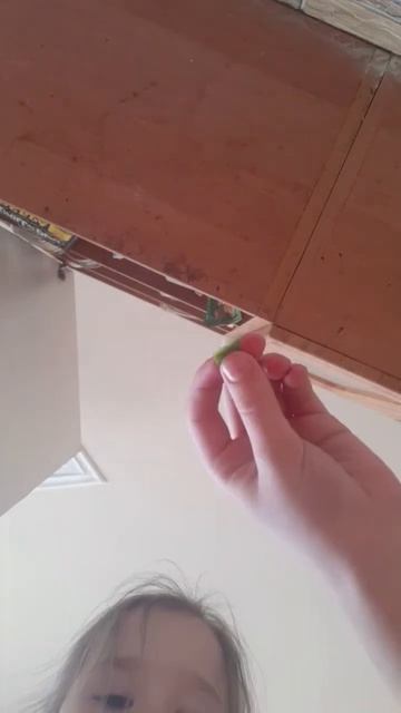 .......😸 смотреть онлайн