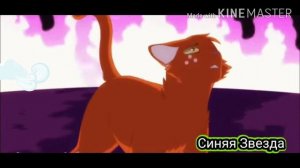 Коты воители-Уголёк