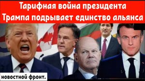 НАТО расколото: тарифная война президента Трампа подрывает единство альянса.