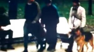 "Беспризорная страна" Группа Стекловата