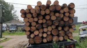 Черных лесорубов задержали в Боханском районе