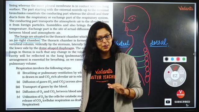Breathing & Exchange of Gases Part -1| Class 11 NEET Biology | AIM For NEET 2020 | Vedantu Biotonic