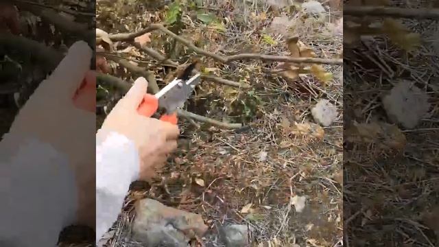 Garden thick branches shears смотреть онлайн