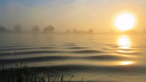 Фотопейзажи Астраханской области (2021 год)