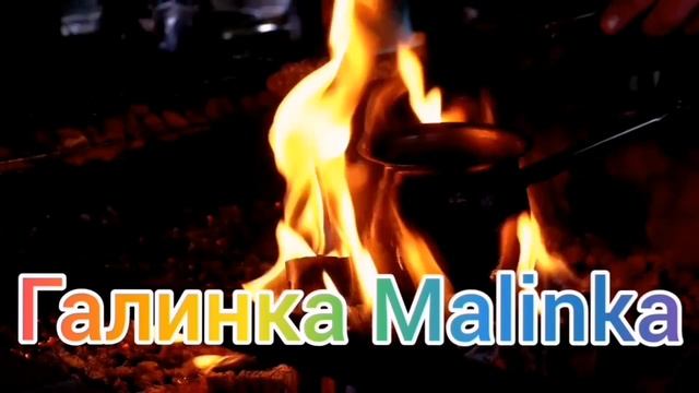 Лиса в Америке /Нытьё и слезы на работе /Обзор/ Funny 4 /Алекс Брежнев /Big Big Family /США Vlog