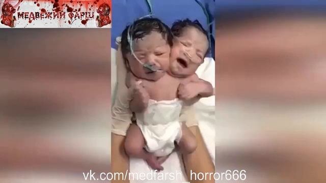 Двухголовый смотреть онлайн