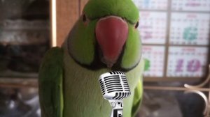 Краски (АЖЕРКА) - Вы не трогайте меня