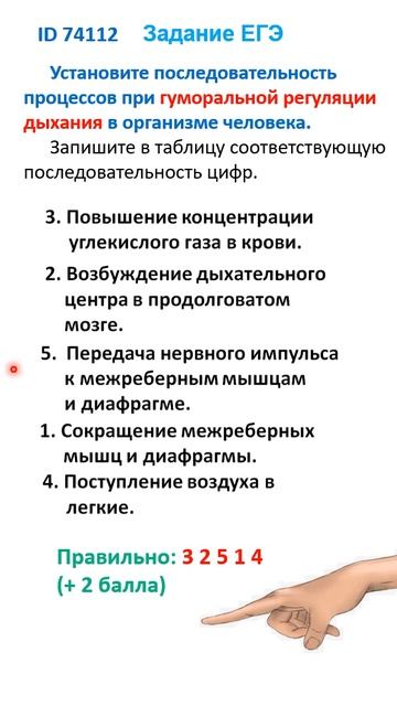 ID 74112 Дыхание Регуляция Ответ смотреть онлайн