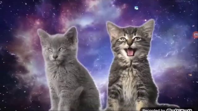 Коты отправились в космос смотреть онлайн