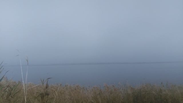 VID_20241115_122336
