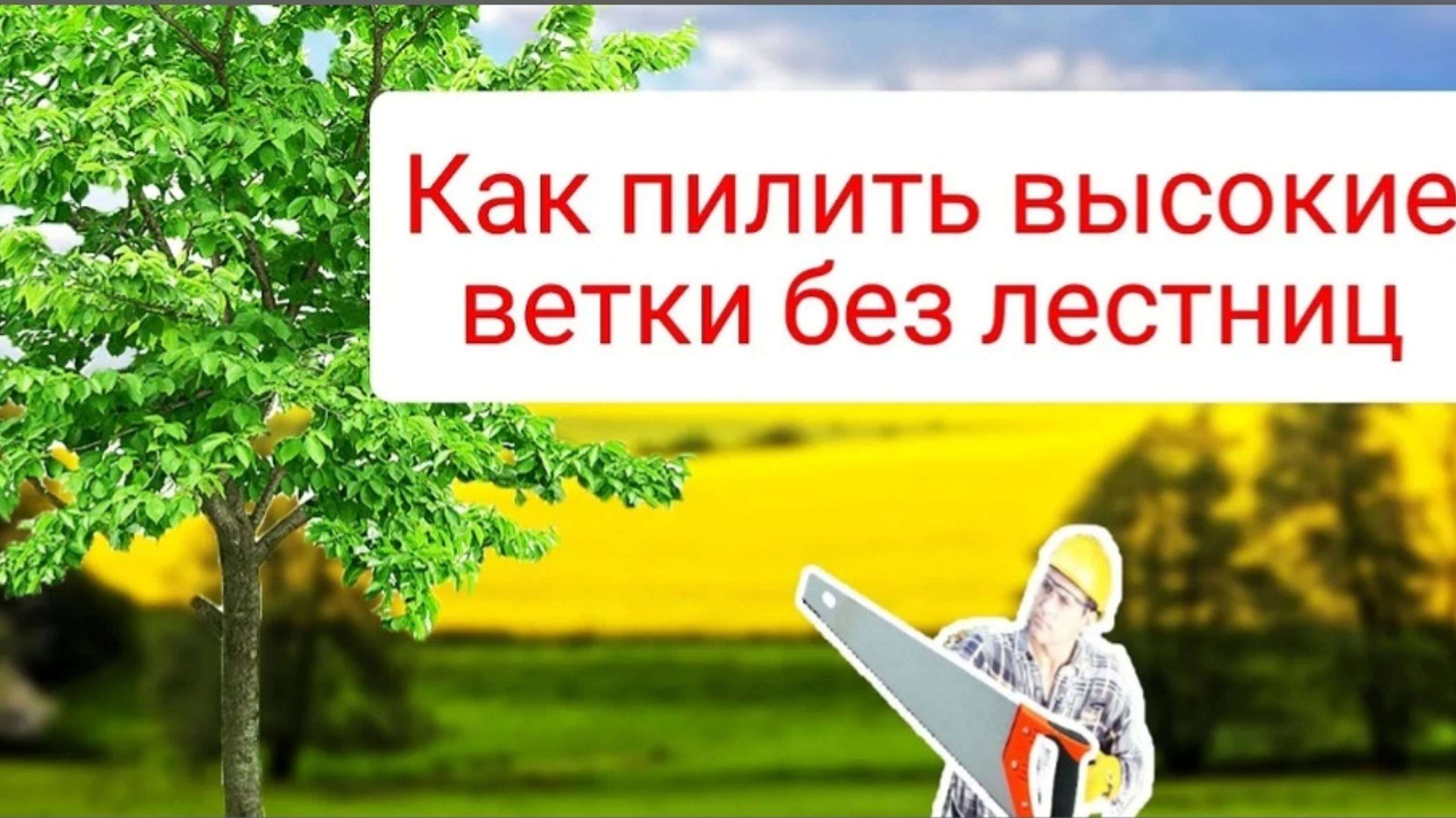 Как пилить высокие ветки, не залезая на дерево: Секретное решение! смотреть онлайн