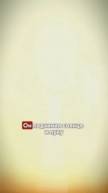 Чудо финика! АЛЛАХУ АКБАР! | Доктор Мохамад Хамед смотреть онлайн