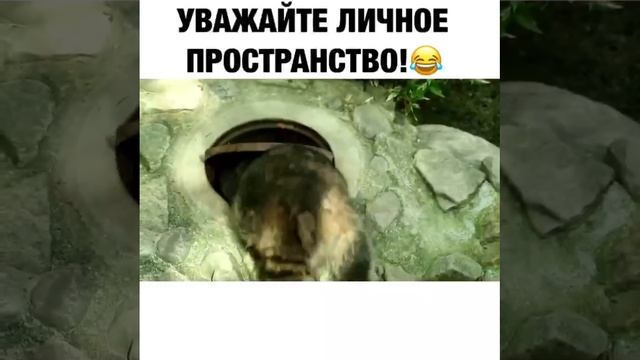 личное пространство