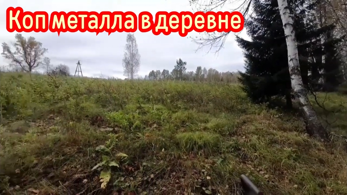 Металлокоп в деревне прохожу лесопосадку