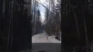 Дорога. Зимовьё. Охота. Тайга. Дорог нет. Внедорожник. Поход. Путешествие. Весна.