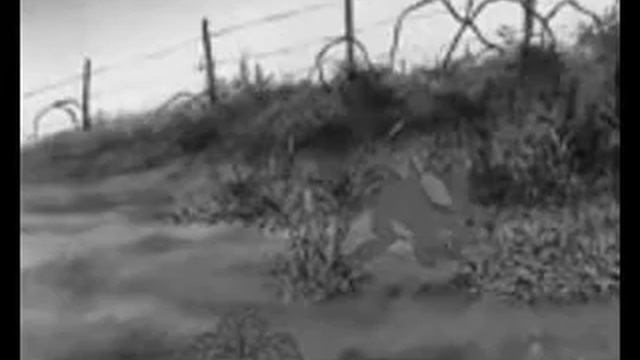 mad WORLD [Fiver Tribute] смотреть онлайн